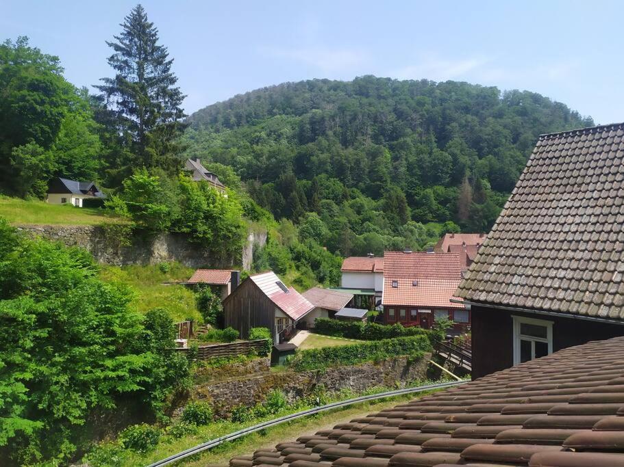 Haus Am Wald Zorge 16+ Gaeste Walkenried Exterior foto