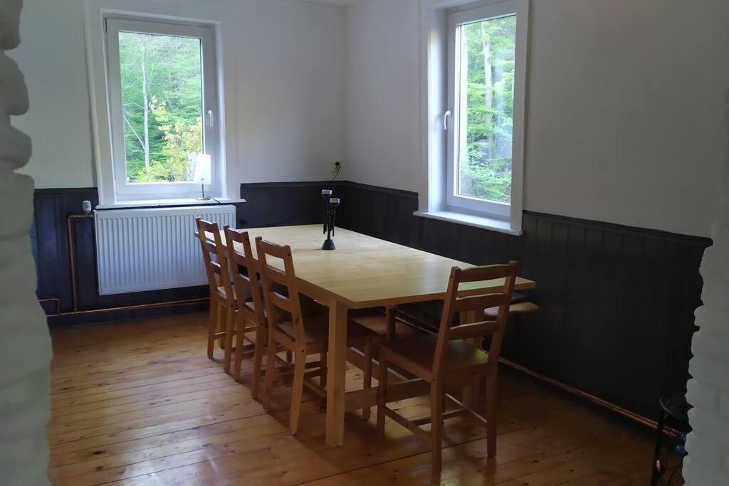 Haus Am Wald Zorge 16+ Gaeste Walkenried Exterior foto